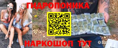 шишки Краснознаменск