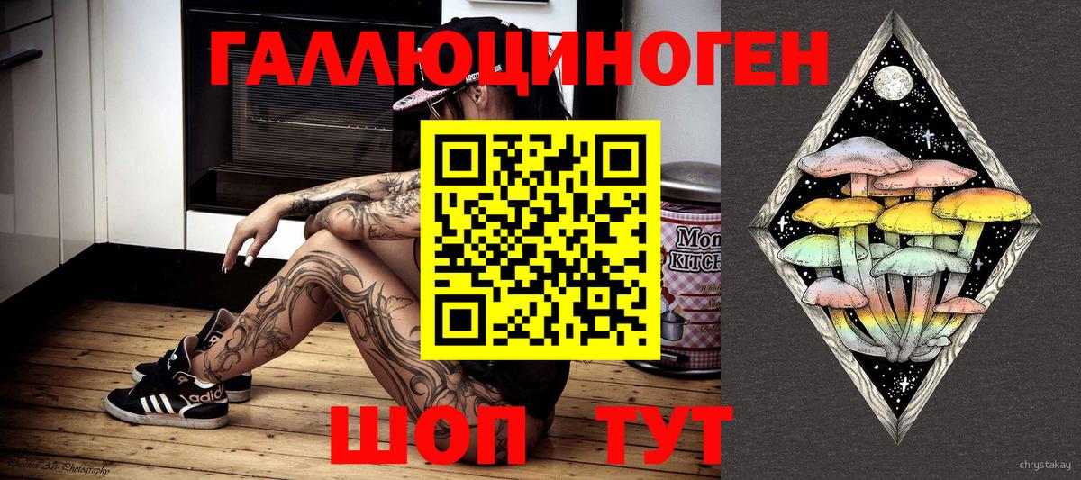 Галлюциногенные грибы Psilocybe Елабуга