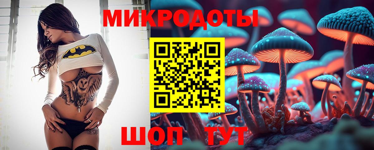 Елабуга  Псилоцибиновые грибы прущие грибы  Вход с VPN 